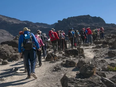 Kilimangiaro-tracking-02