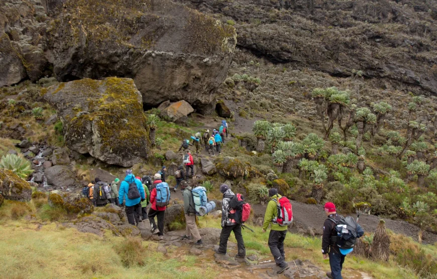 Machame Route Vip+