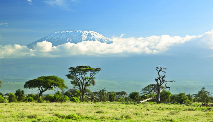 Afield: Mt Kilimanjaro