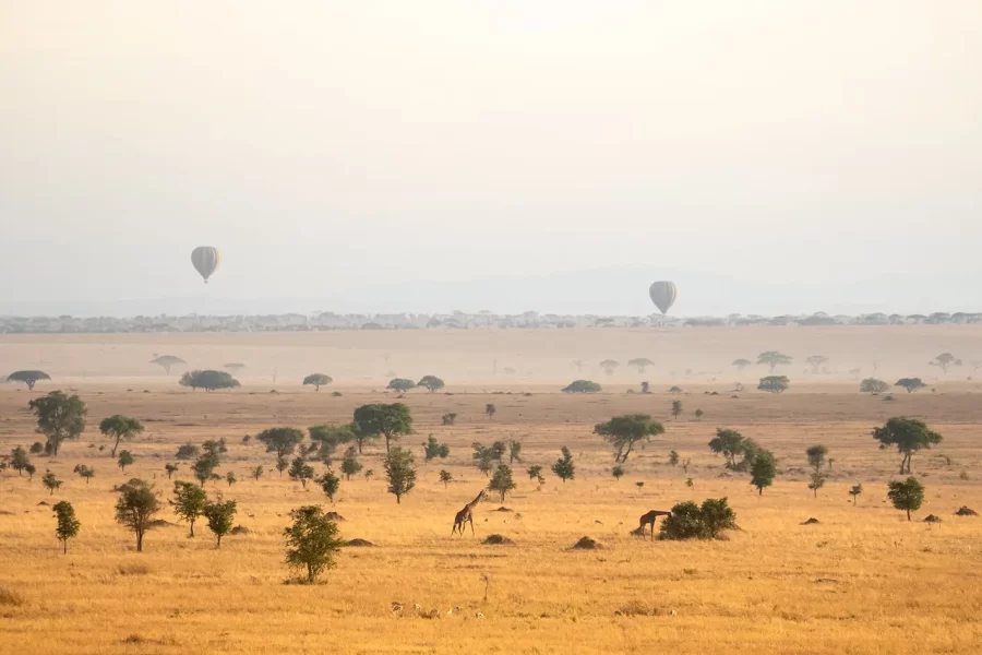 9-Day Wildebeest Migration Calving Season Safari