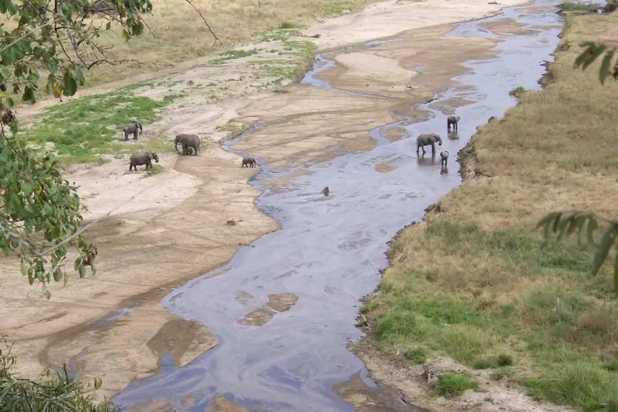 Arusha – Tarangire National Park Day Trip