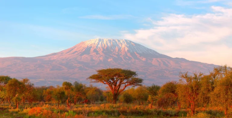 generic-kili-pic-scaled