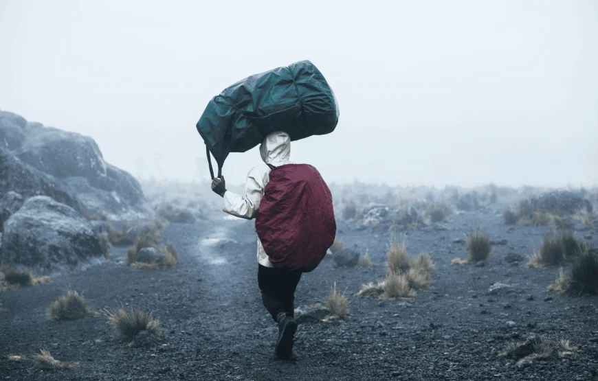 DKE_Journey_Magic3-870x555
