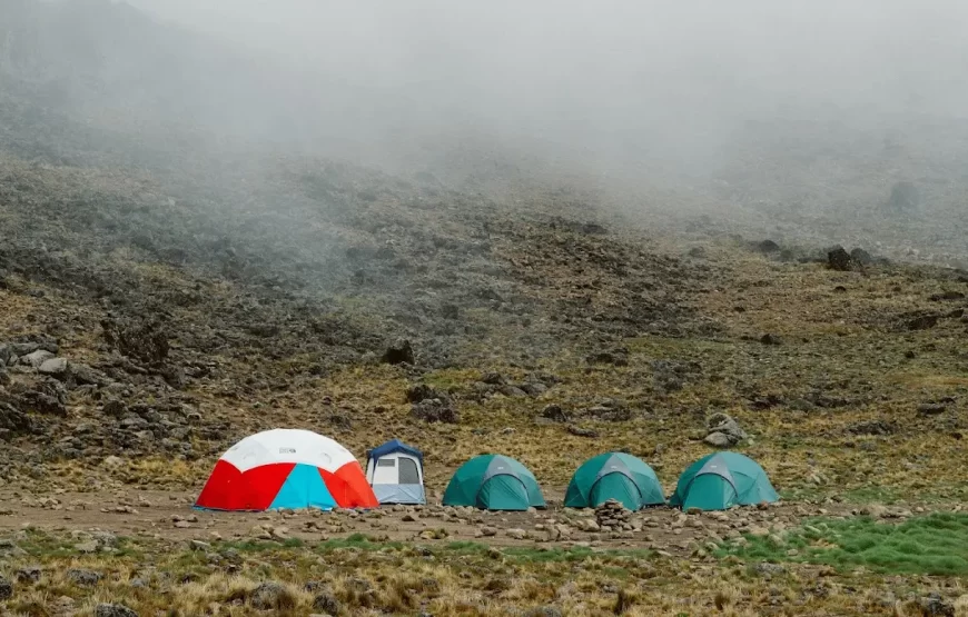 northen-circuit-kilimanjaro-trekking-vip--870x555