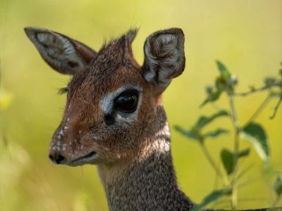 DAN_0633