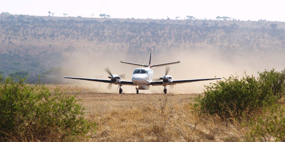 safari-flying.jpg