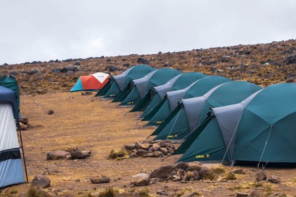 tents-DKE
